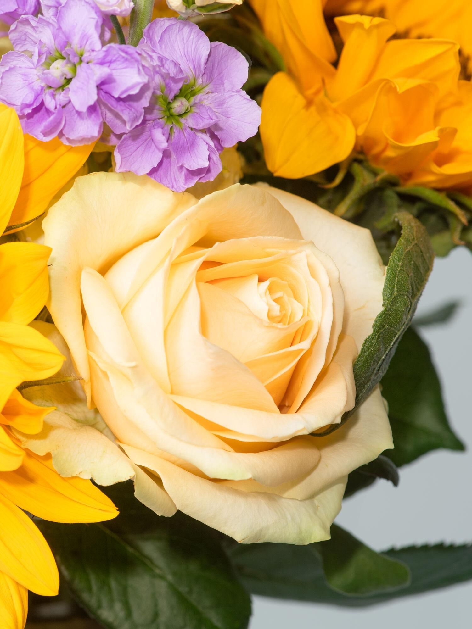  Rose,  Pfingstrose,  Strauß,  Blume,  Gelb