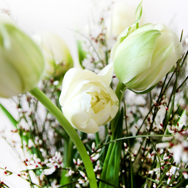 French Spring
