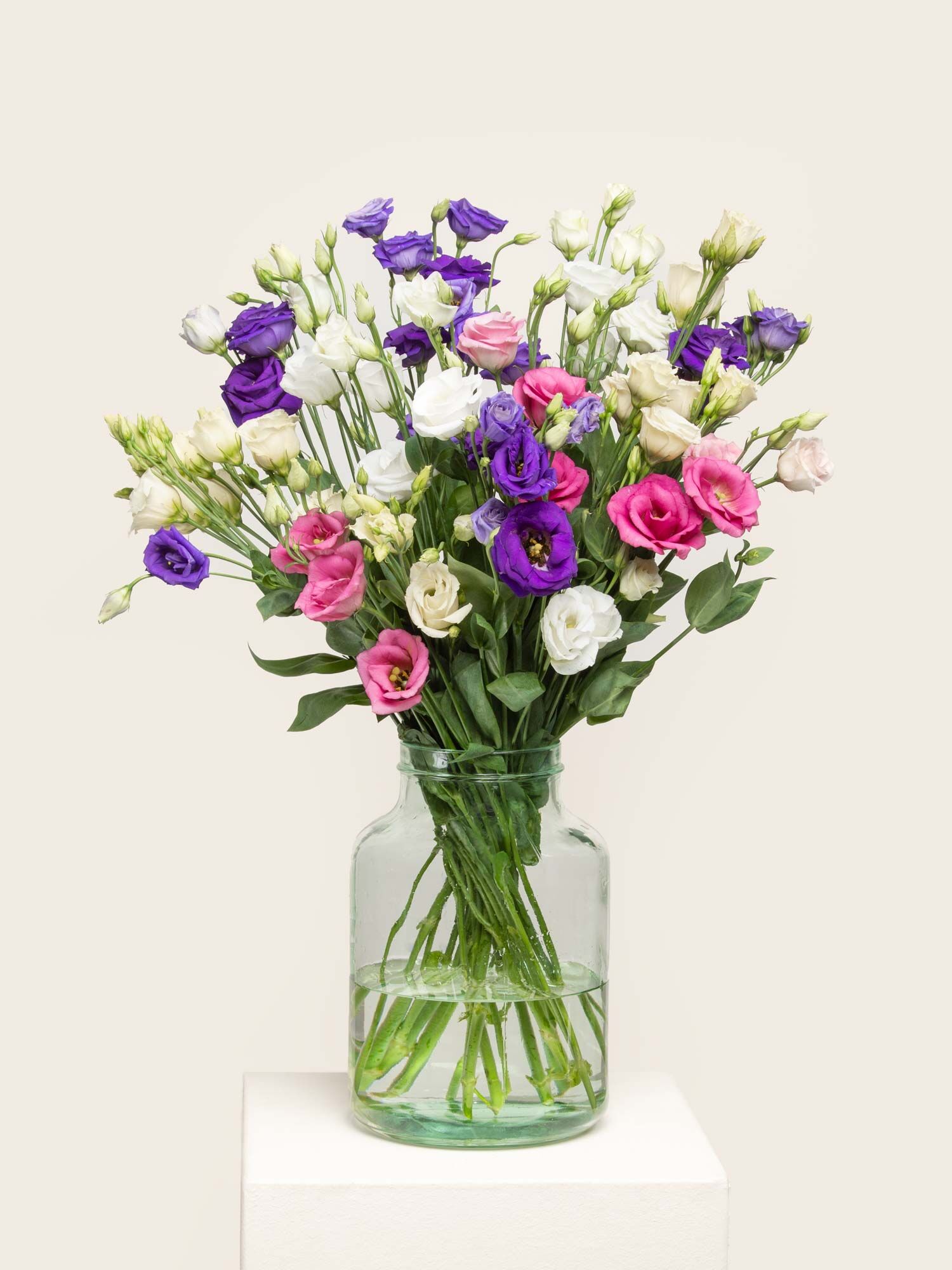 Blume, Blumen-Arrangement, Pflanze, Blumenstrauß, Florales Design