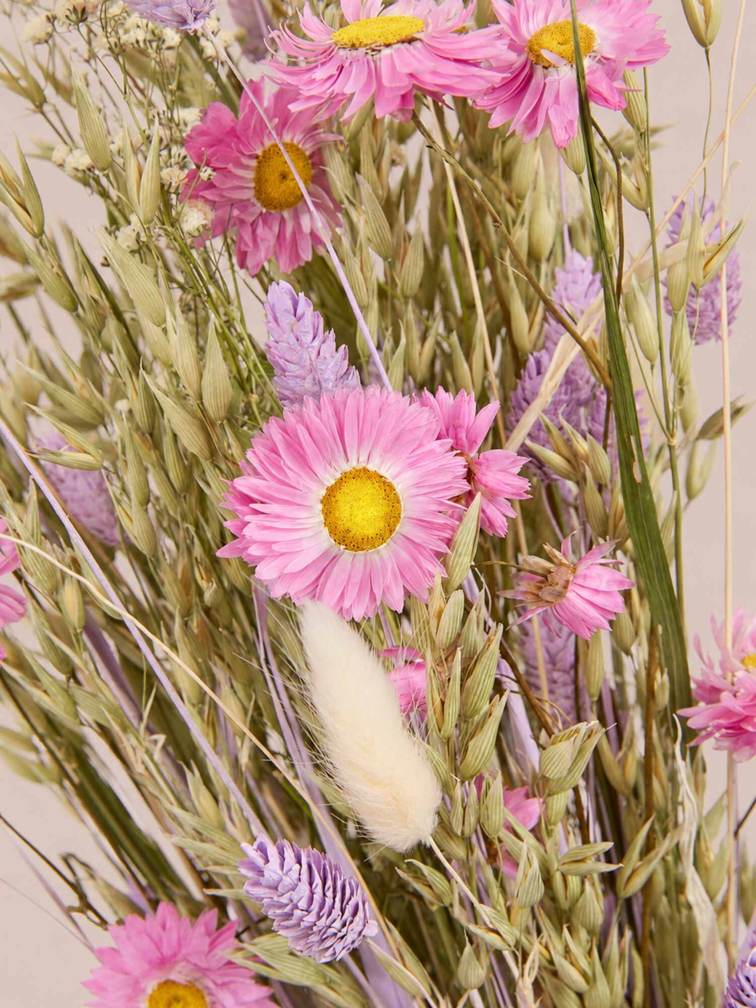 getrocknete_blumen, rosa-gänseblümchen, sträuße, wildblumen, stengel