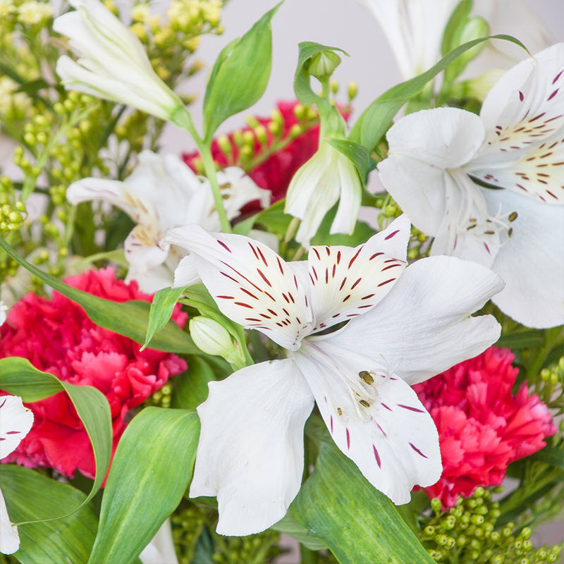 Garden Romance