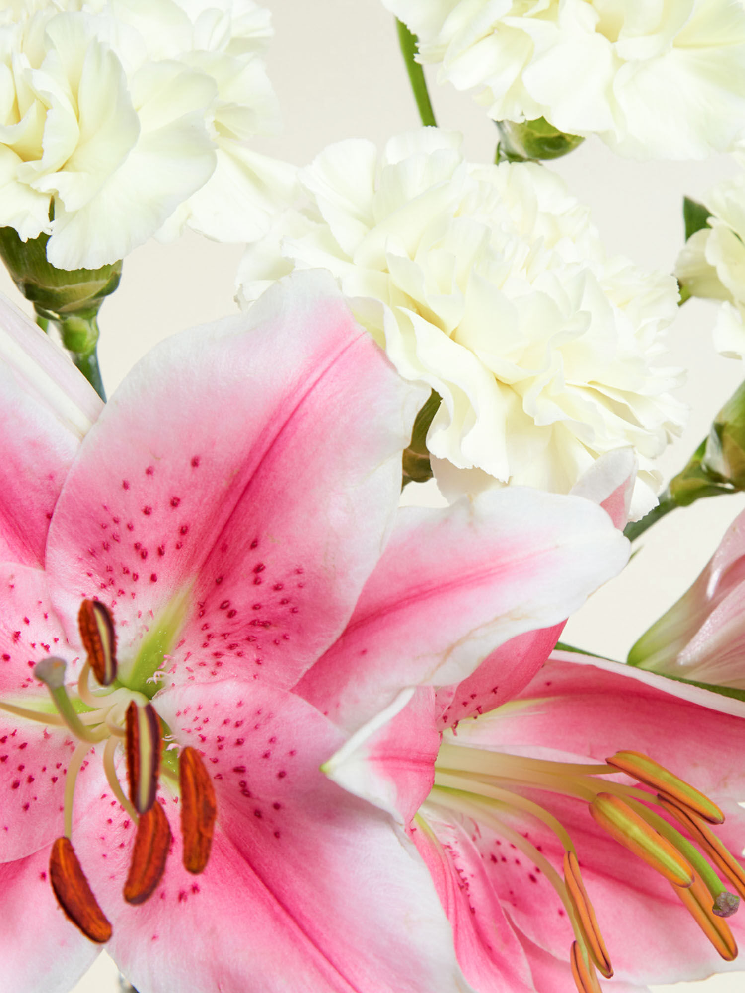 Blütentraum Nahaufnahme von pinken Lilien und gelben Nelken