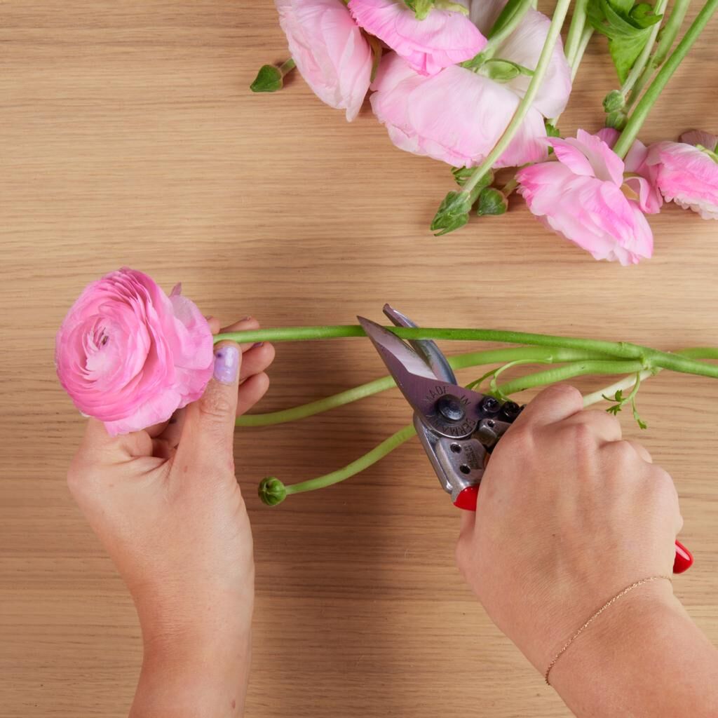 Schneiden der Blumen