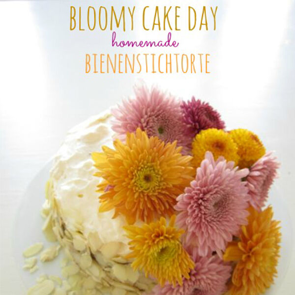 BLOOMY CAKE No. 1
