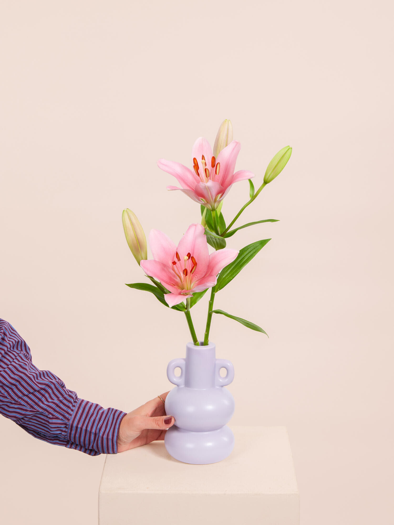 Keramikvase, Lavendel, Vase mit Henkeln, rosa Lilien, glänzende Oberfläche