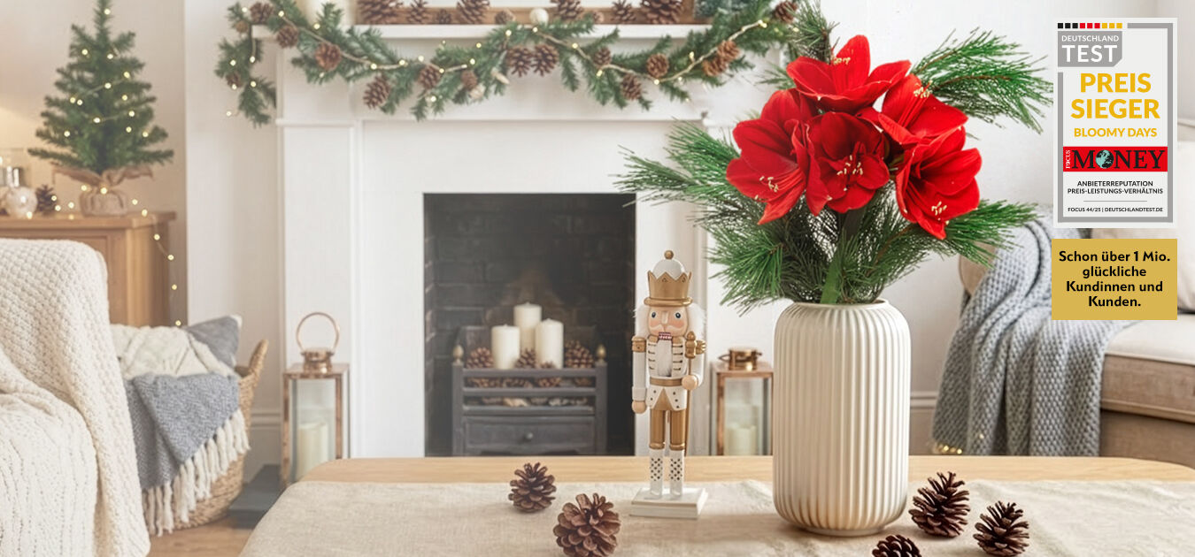 Kamin, Drinnen, Pflanze, Blume