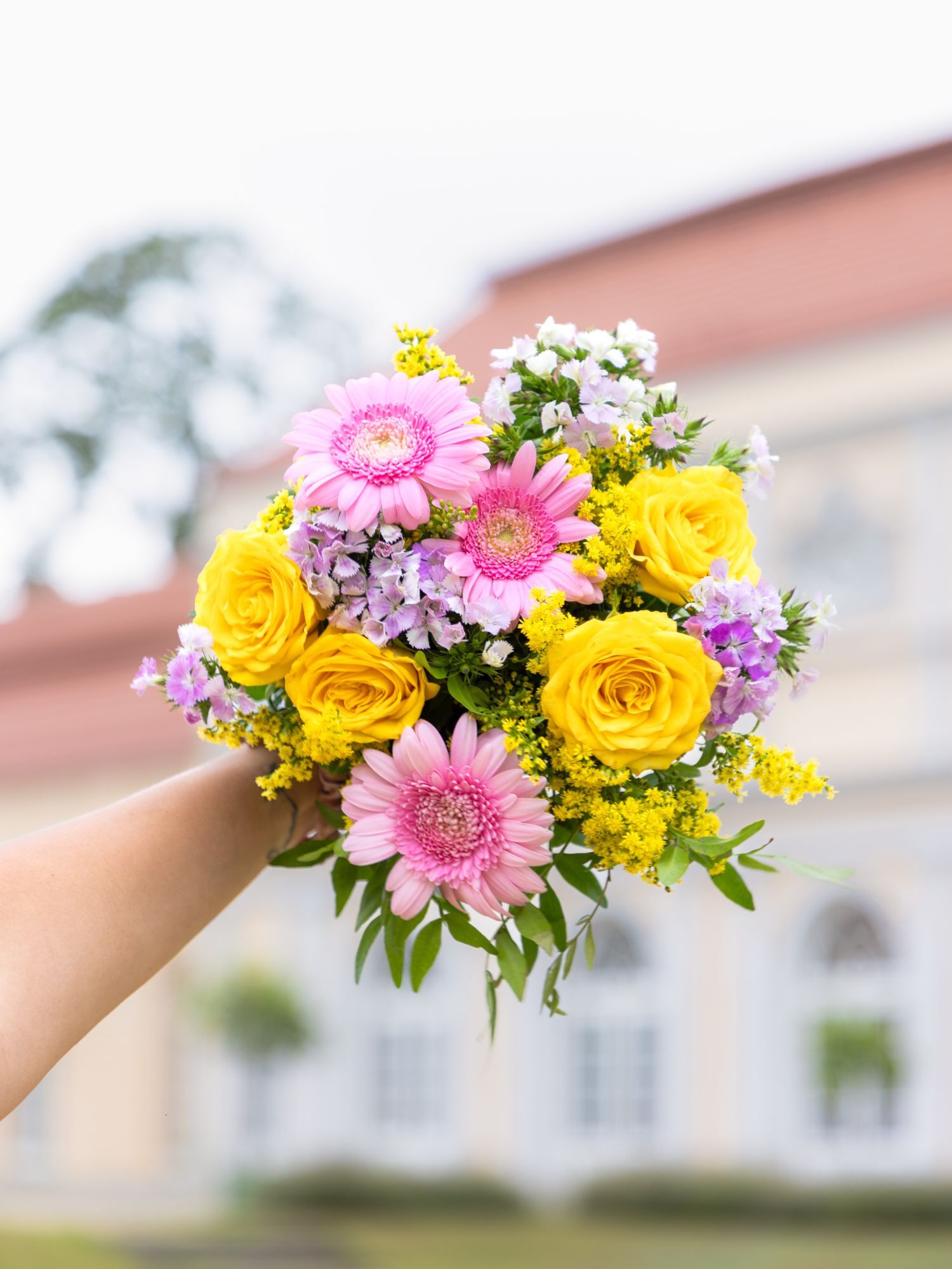 Blume, Blumen-Arrangement, Blumenstrauß, Rose, Gänseblümchen