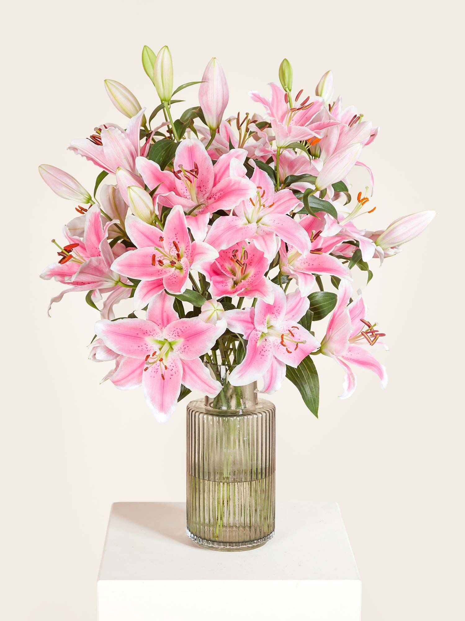 Pinke Lilien Blume, Blumen-Arrangement, Pflanze, Blumenstrauß