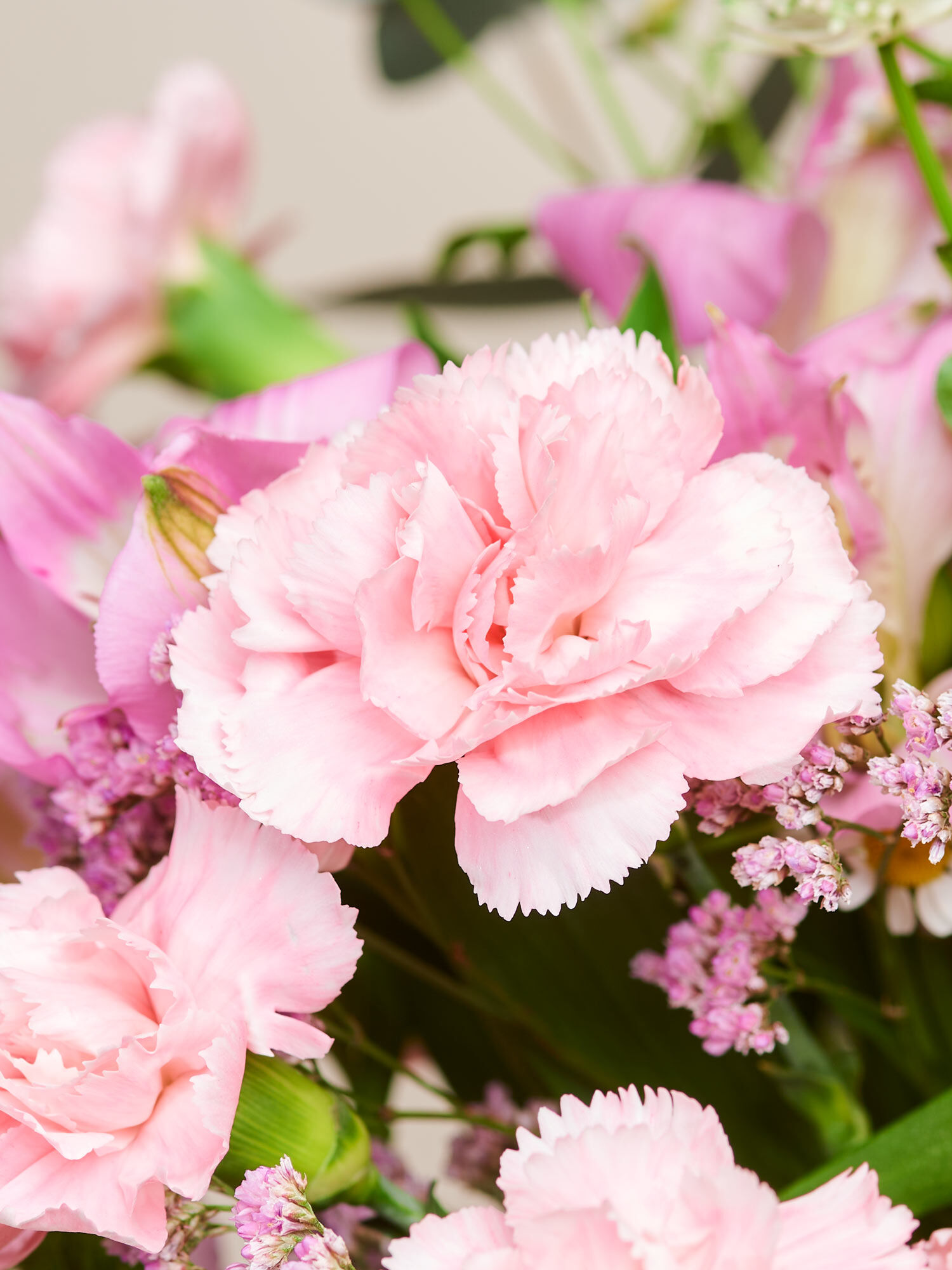 Blossom Beauty Blossom Beauty