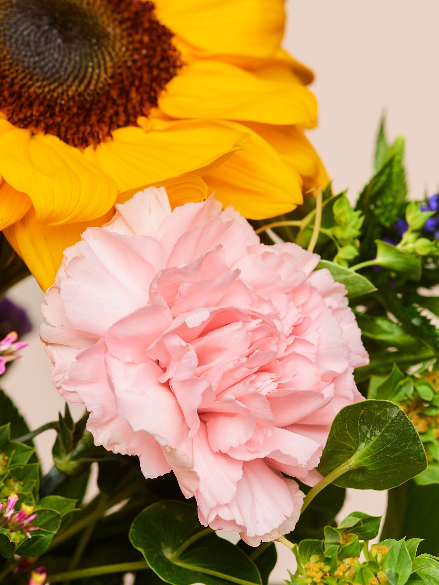 Blume, Blumen-Arrangement, Rose, Blumenstrauß, Blütenblatt