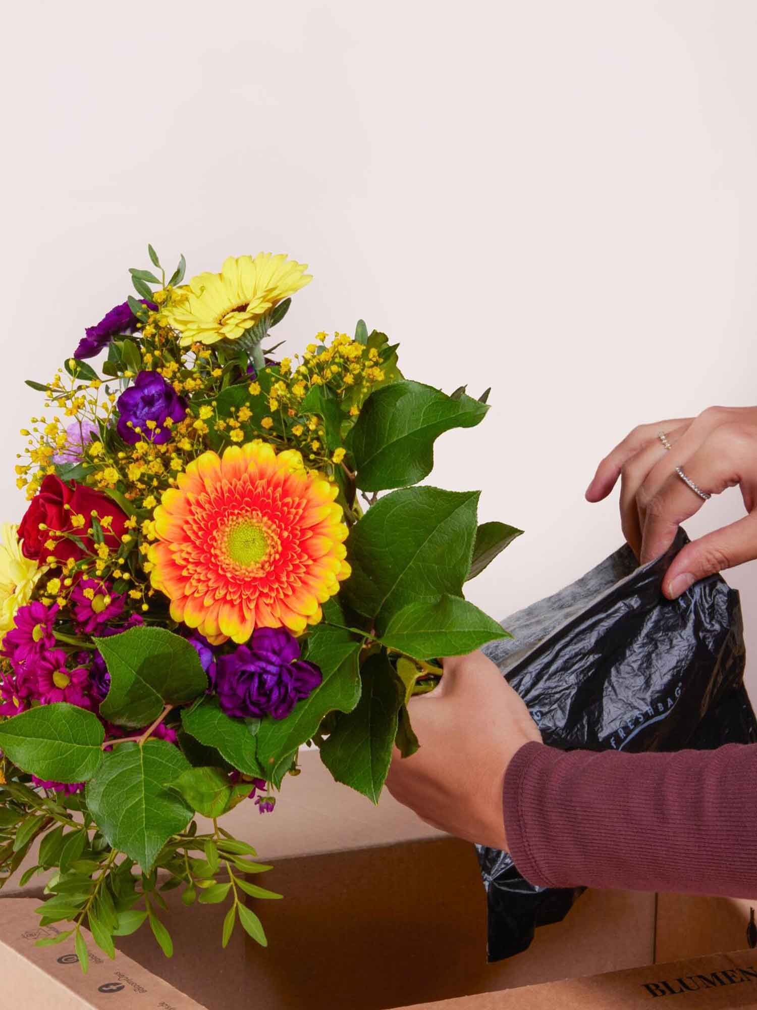 Blumenstrauß, bunte Blüten, Sonnenblume, Rosen, Grünes Blattwerk