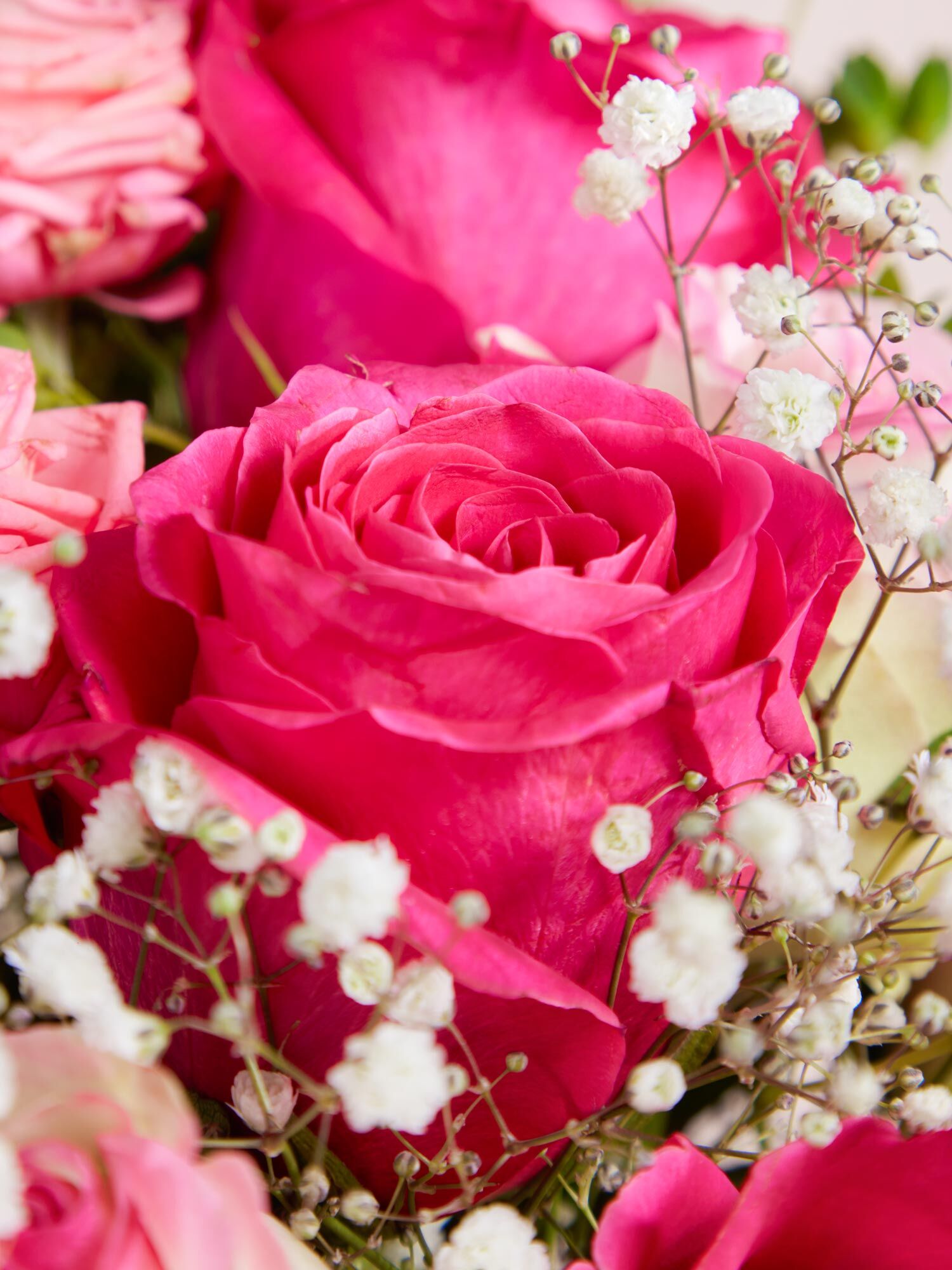 Blume, Rose, Blumen-Arrangement, Blumenstrauß, Blütenblatt