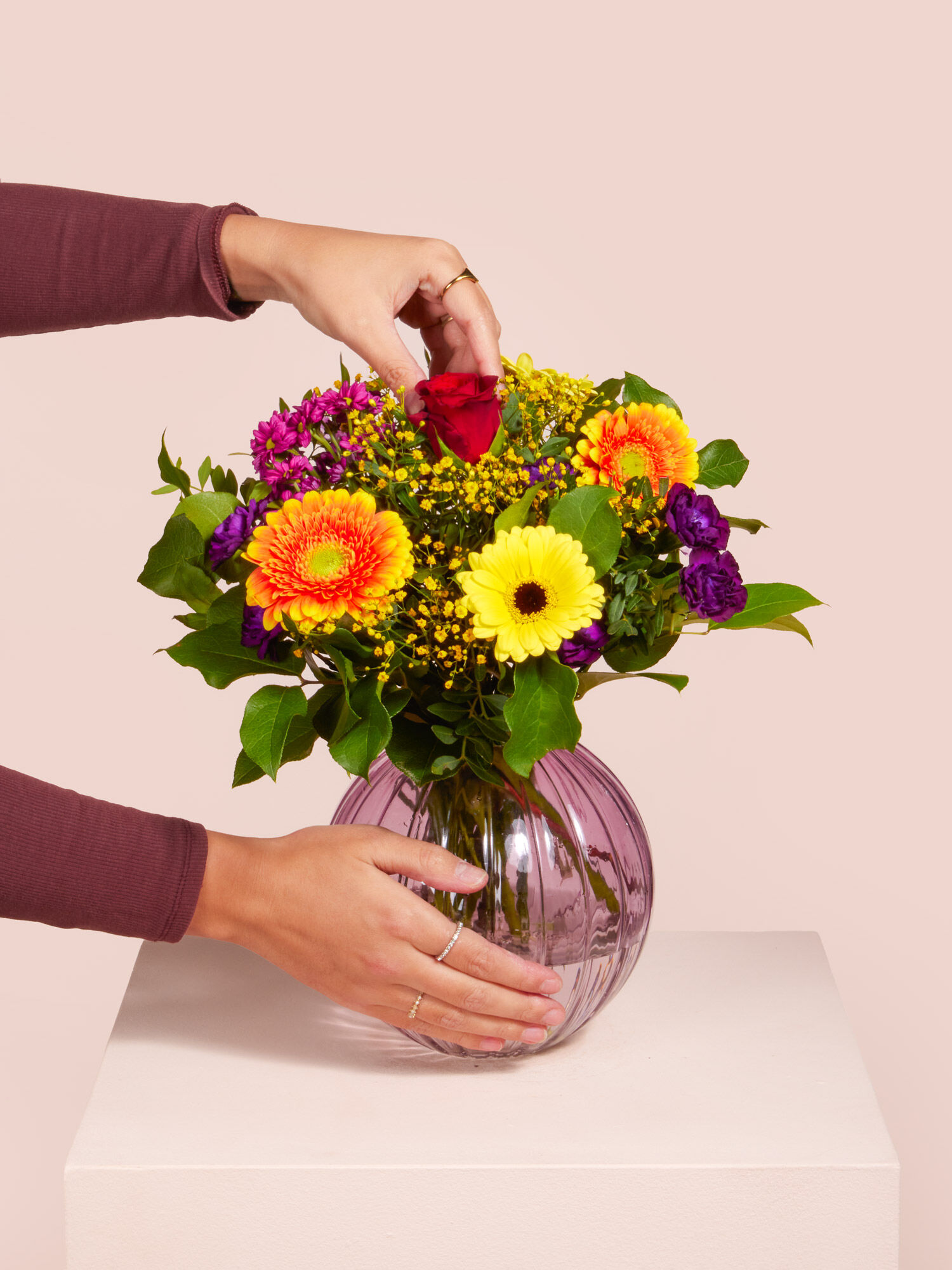 Farbenfreude Farbenfreude