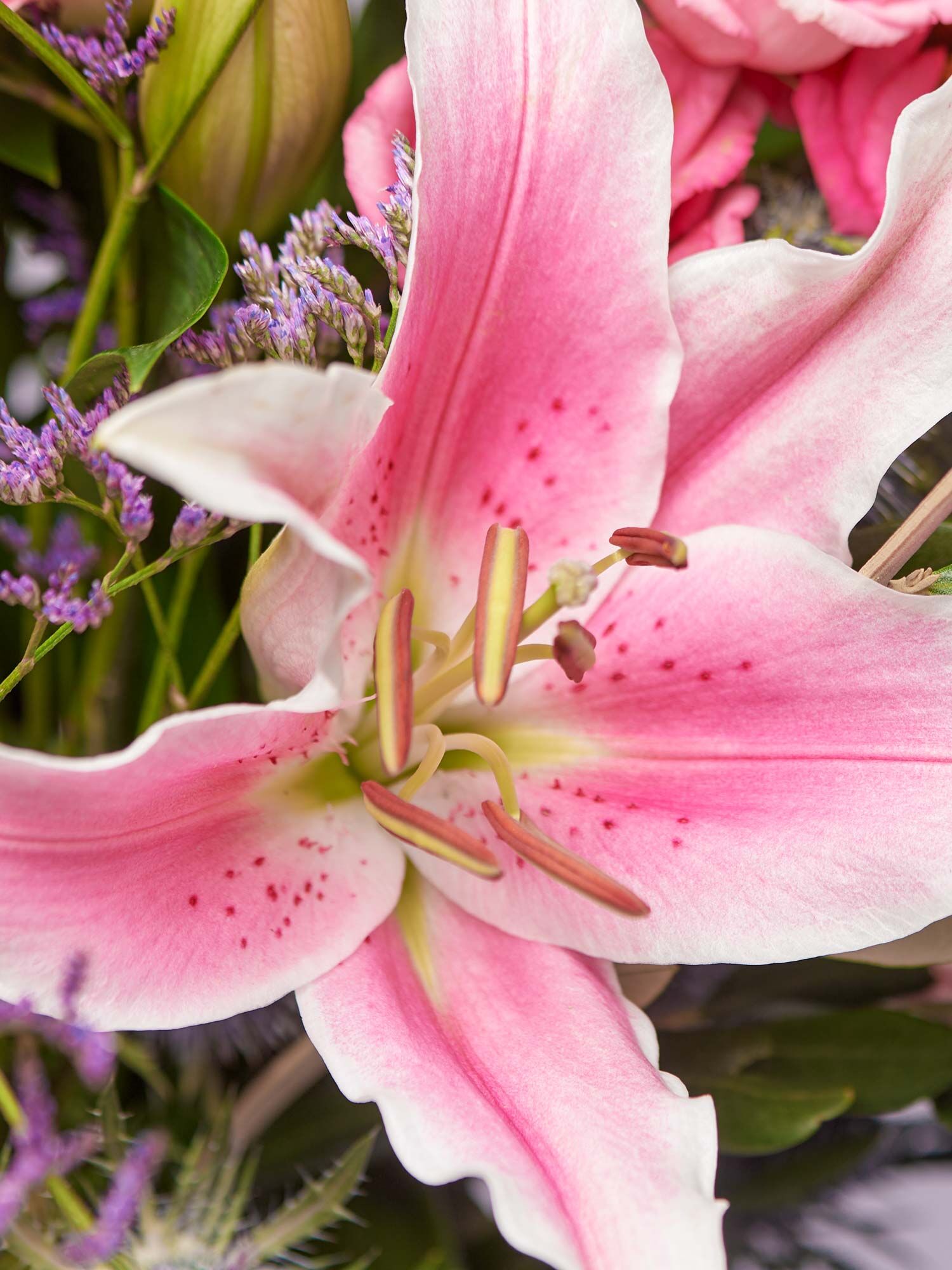Pretty in Pink Pretty in Pink
