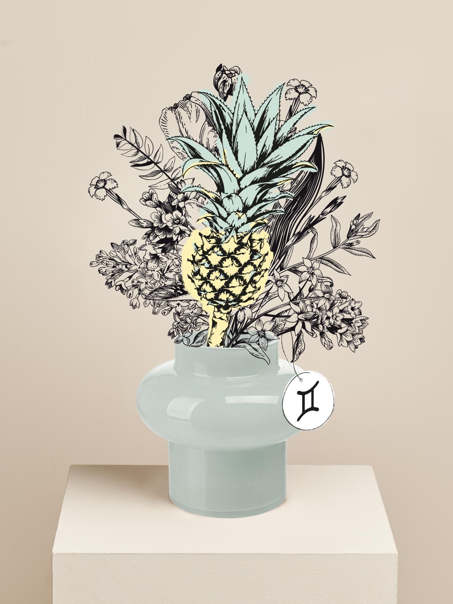 Topfpflanze, Ananas Illustration, Vase, Blumenkunst, Dekorationsobjekt