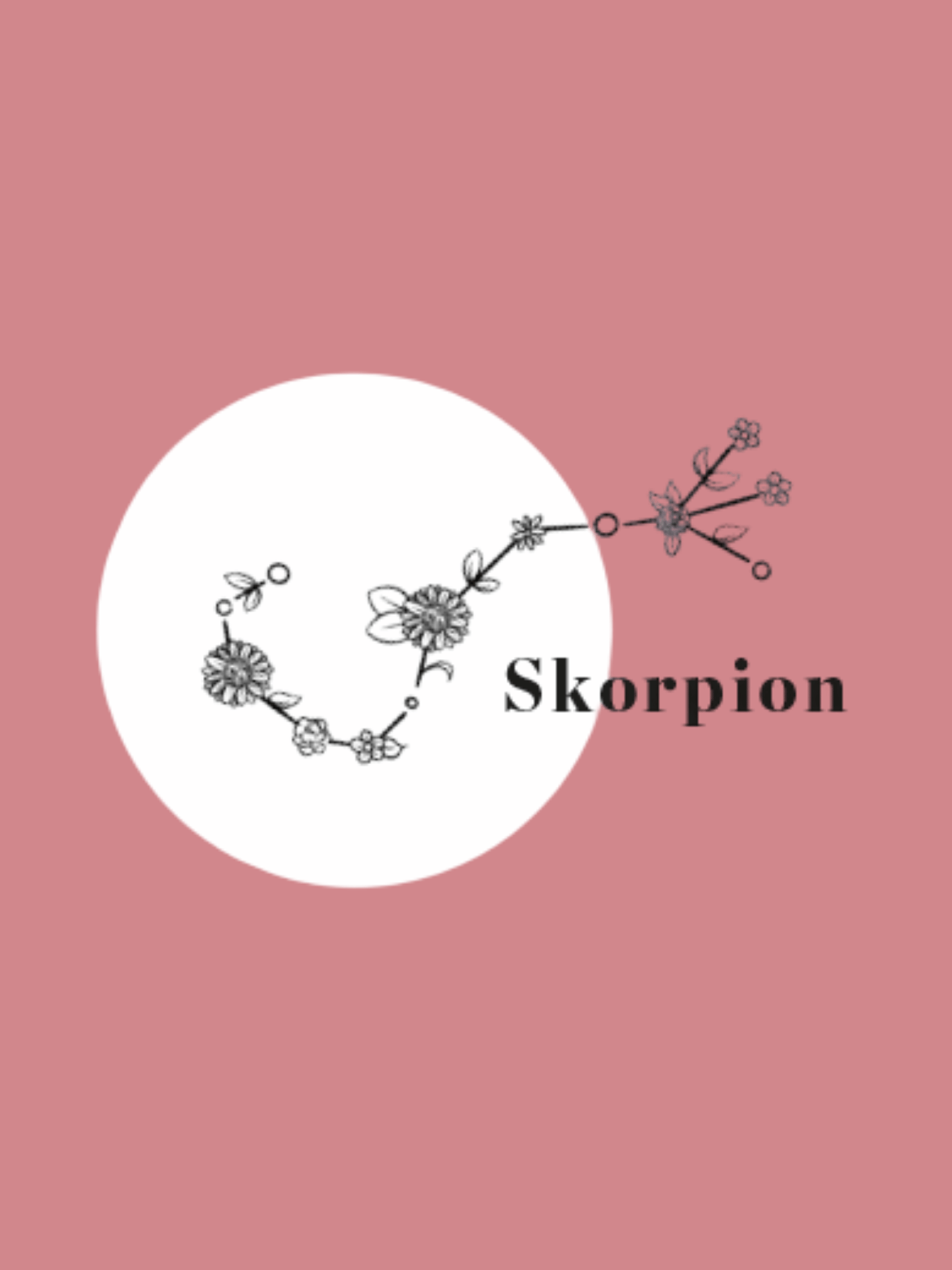 Skorpion, Konstellation, Linienkunst, Blume, rosa Hintergrund