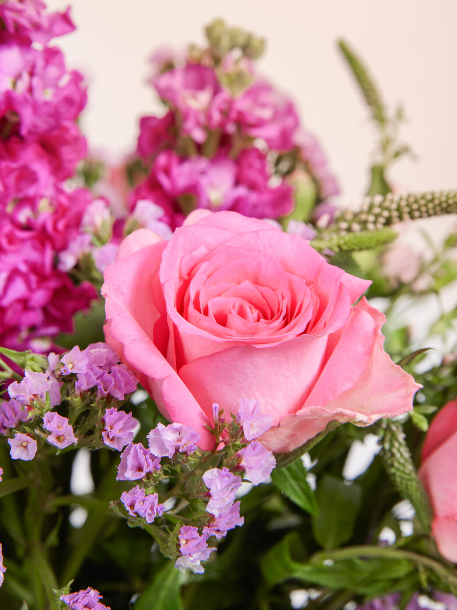 rosa Rose, Blumenstrauß, violette Begleitblumen, frische Blumen