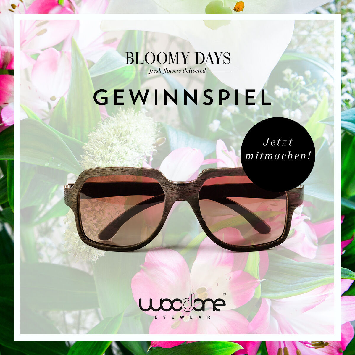 WooDone Gewinnspiel