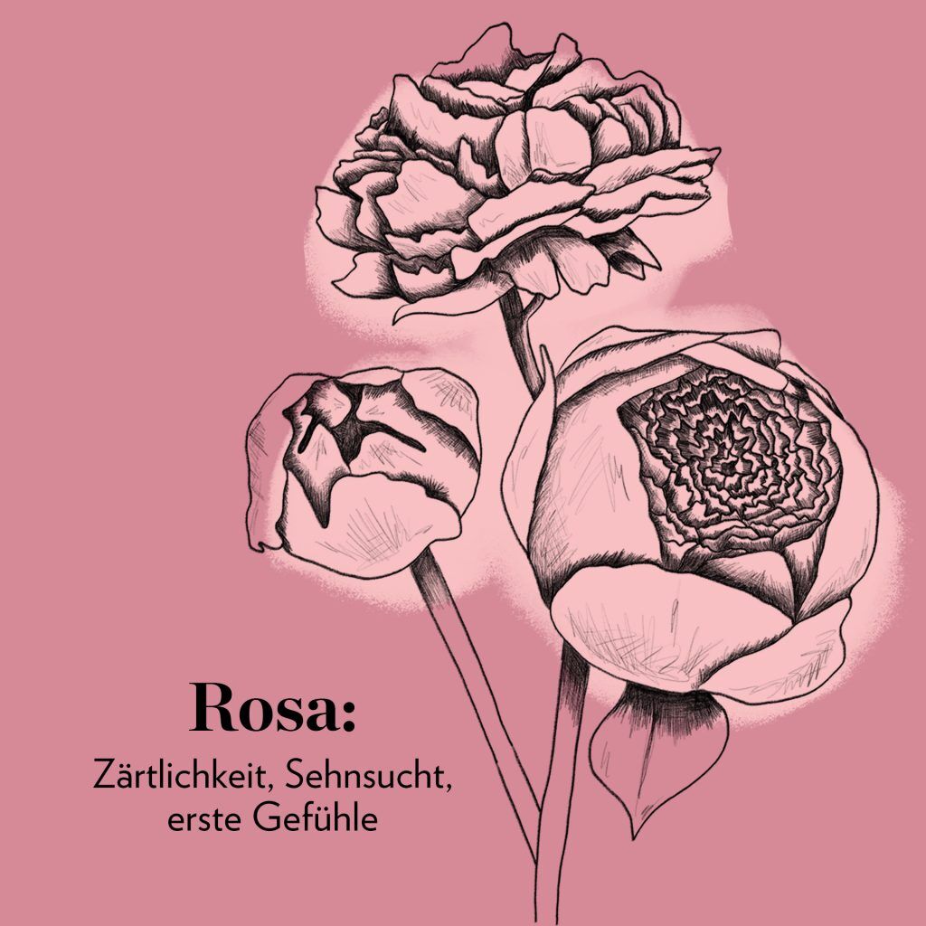 Rosa
