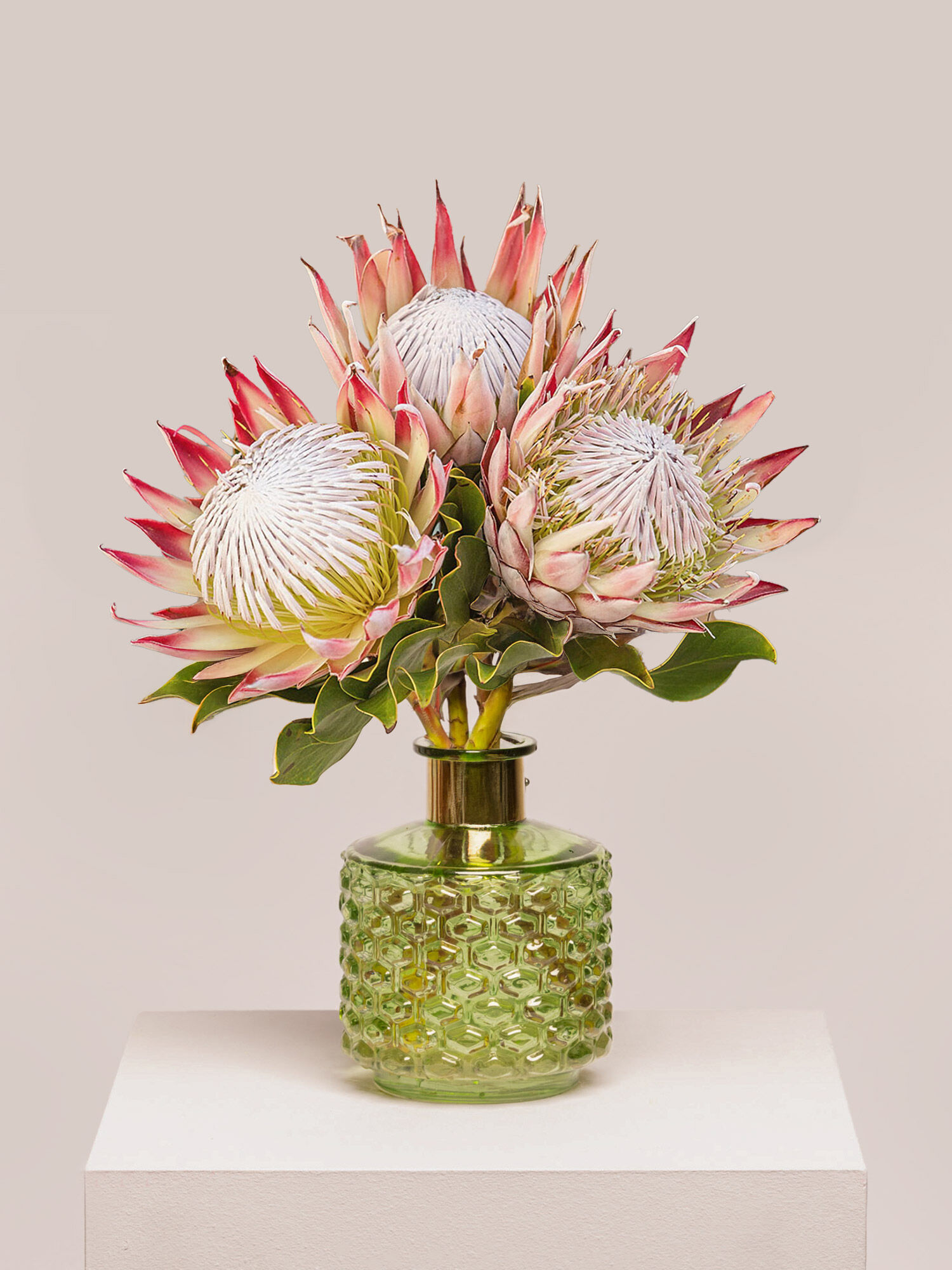 Blume, Blumen-Arrangement, Pflanze, Töpferei, Krug