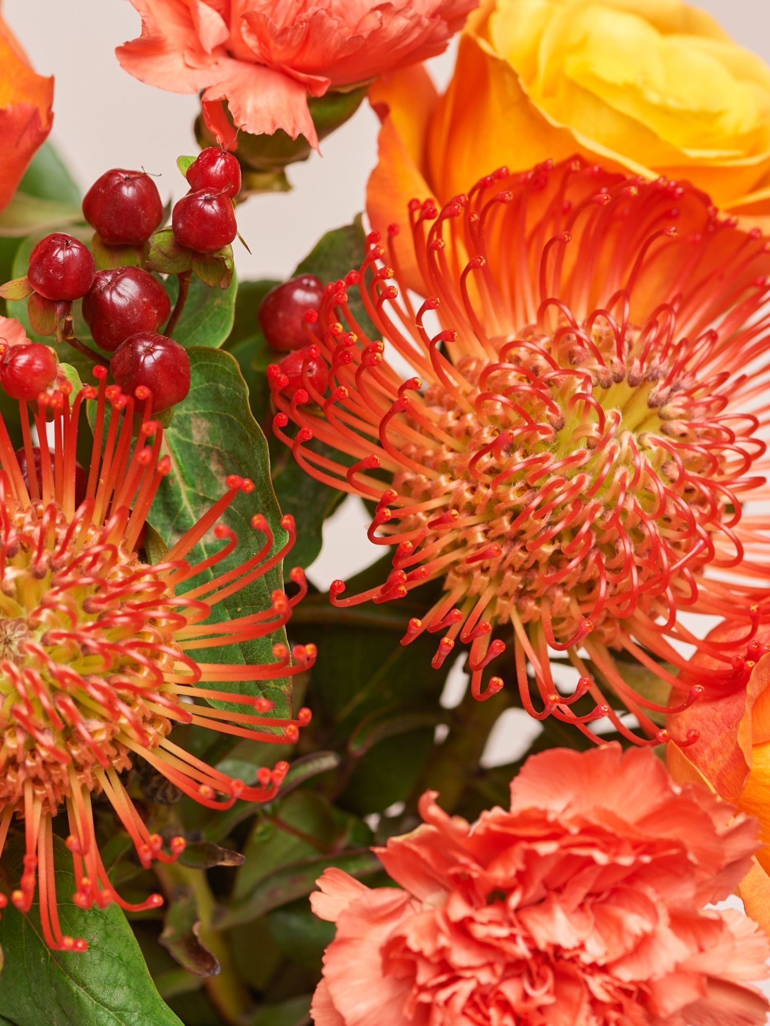 Blume, Blütenblatt, Blumen-Arrangement, Blumenstrauß, Geranie