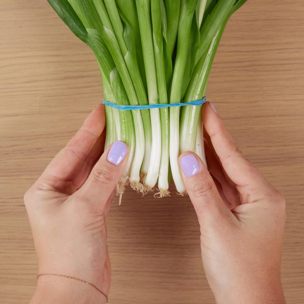 befestigen mit Gummiband