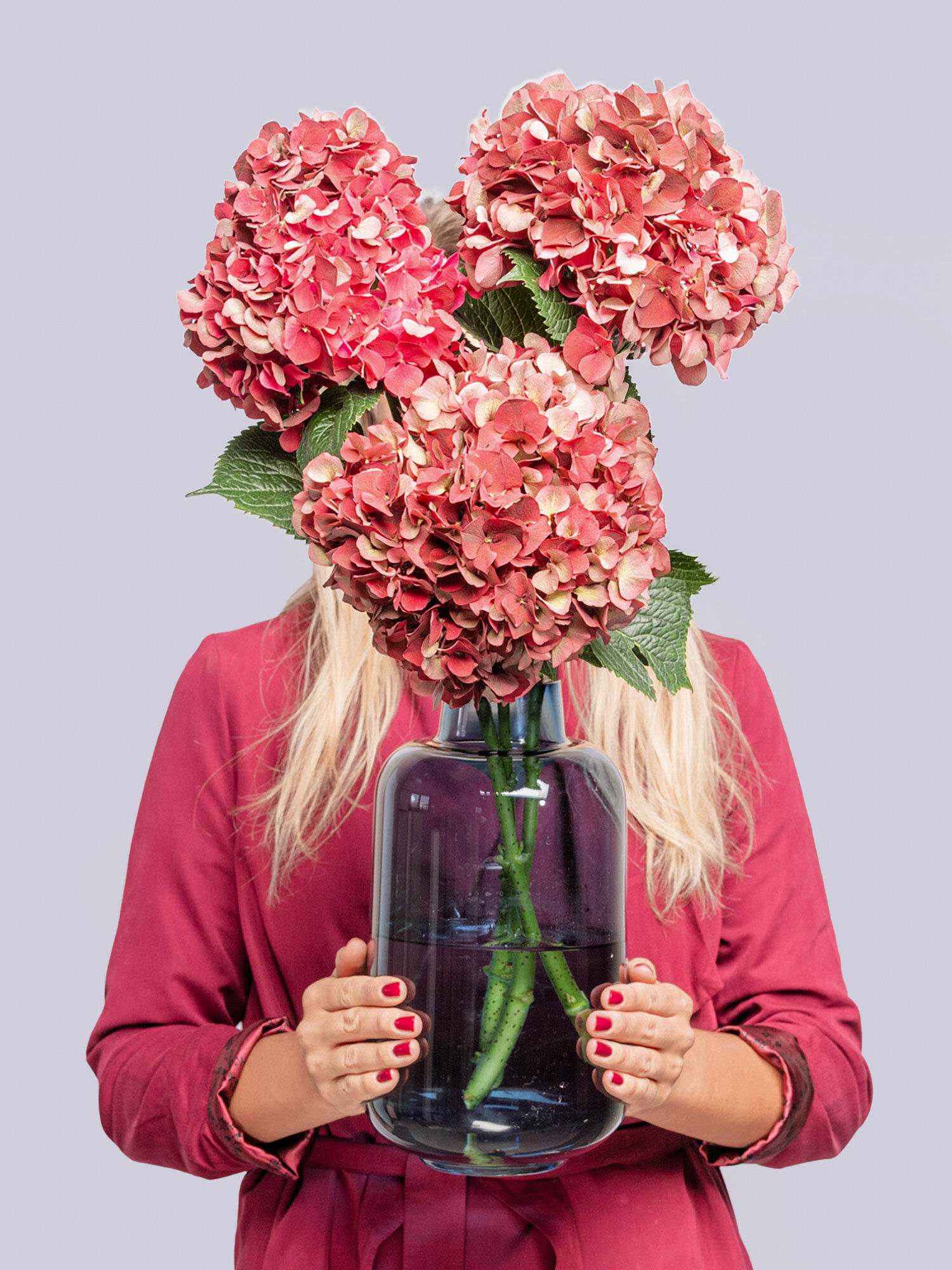 Blume, Blumen-Arrangement, Blumenstrauß, Glas, Person