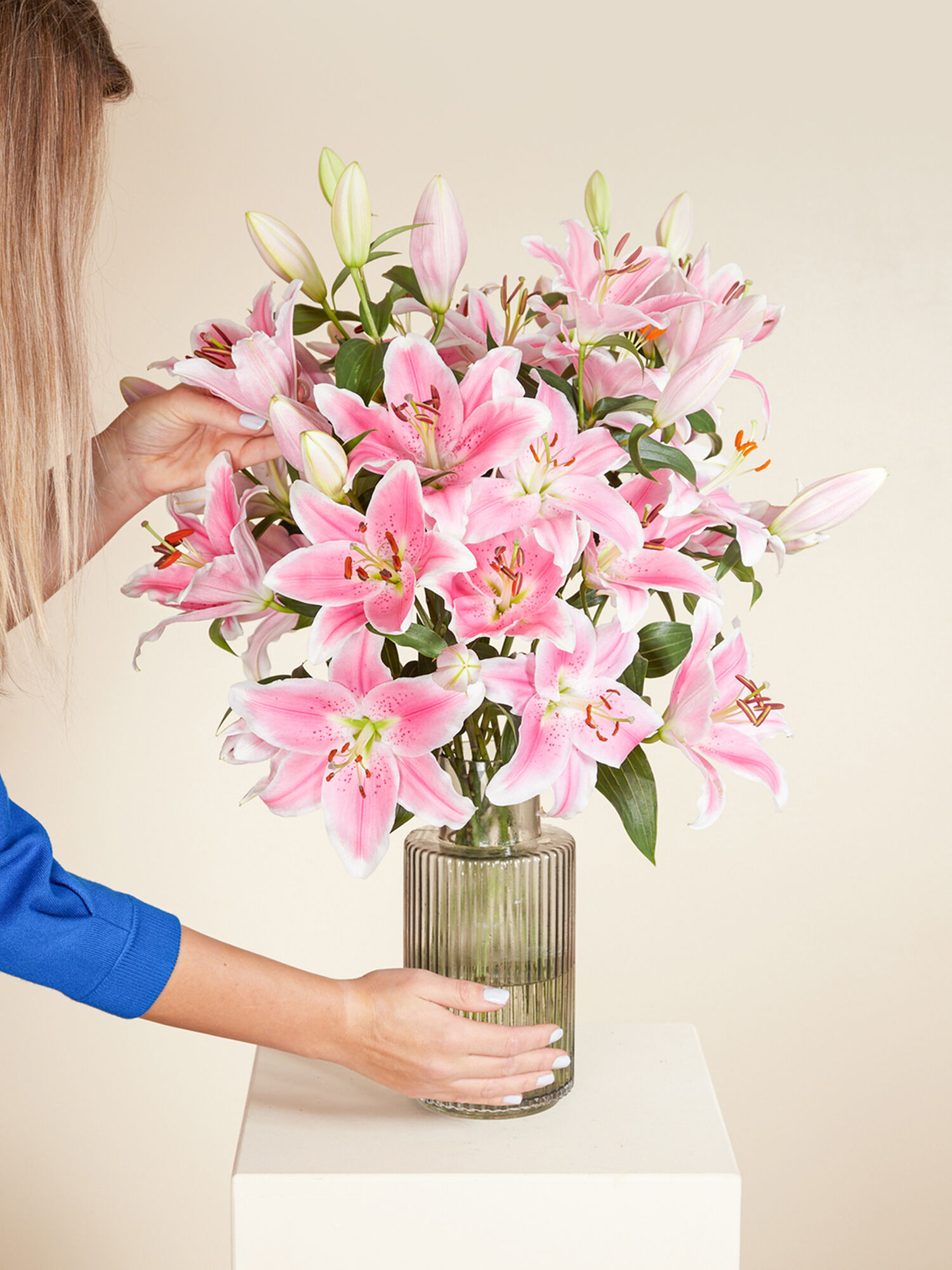 Blume, Blumen-Arrangement, Pflanze, Blumenstrauß, Person