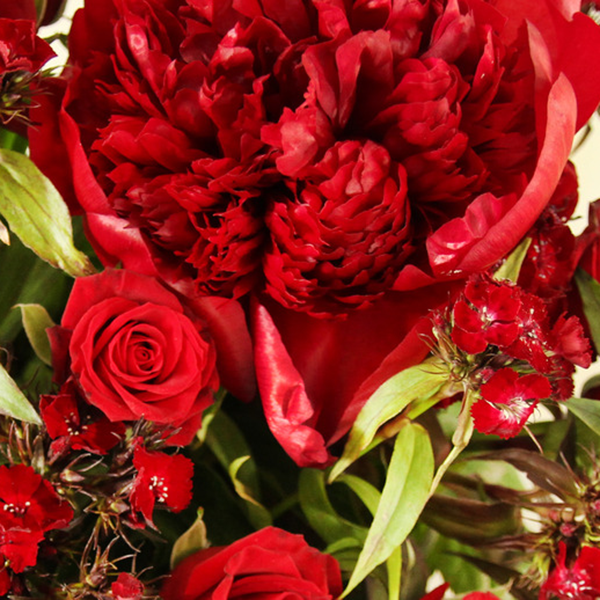 Rosy Rockstar: Ein romantisches Blumenarrangement mit roten Rosen, Pfingstrosen und Bartnelken