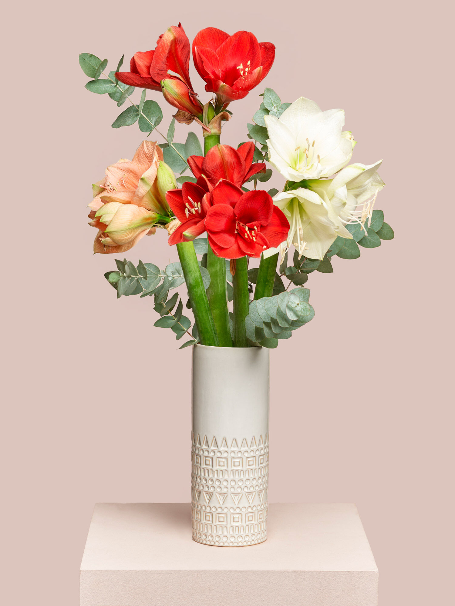 Blume, Blumen-Arrangement, Pflanze, Blumenstrauß, Rose