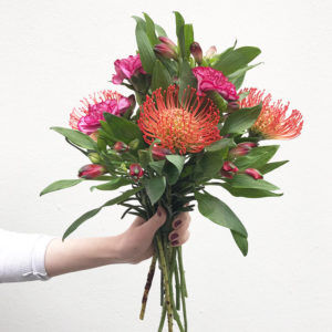 Nadelkissen, Inkalilien, Nelken