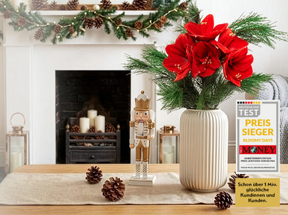 Kamin, Blume, Blumen-Arrangement, Pflanze, Pflanze im Topf