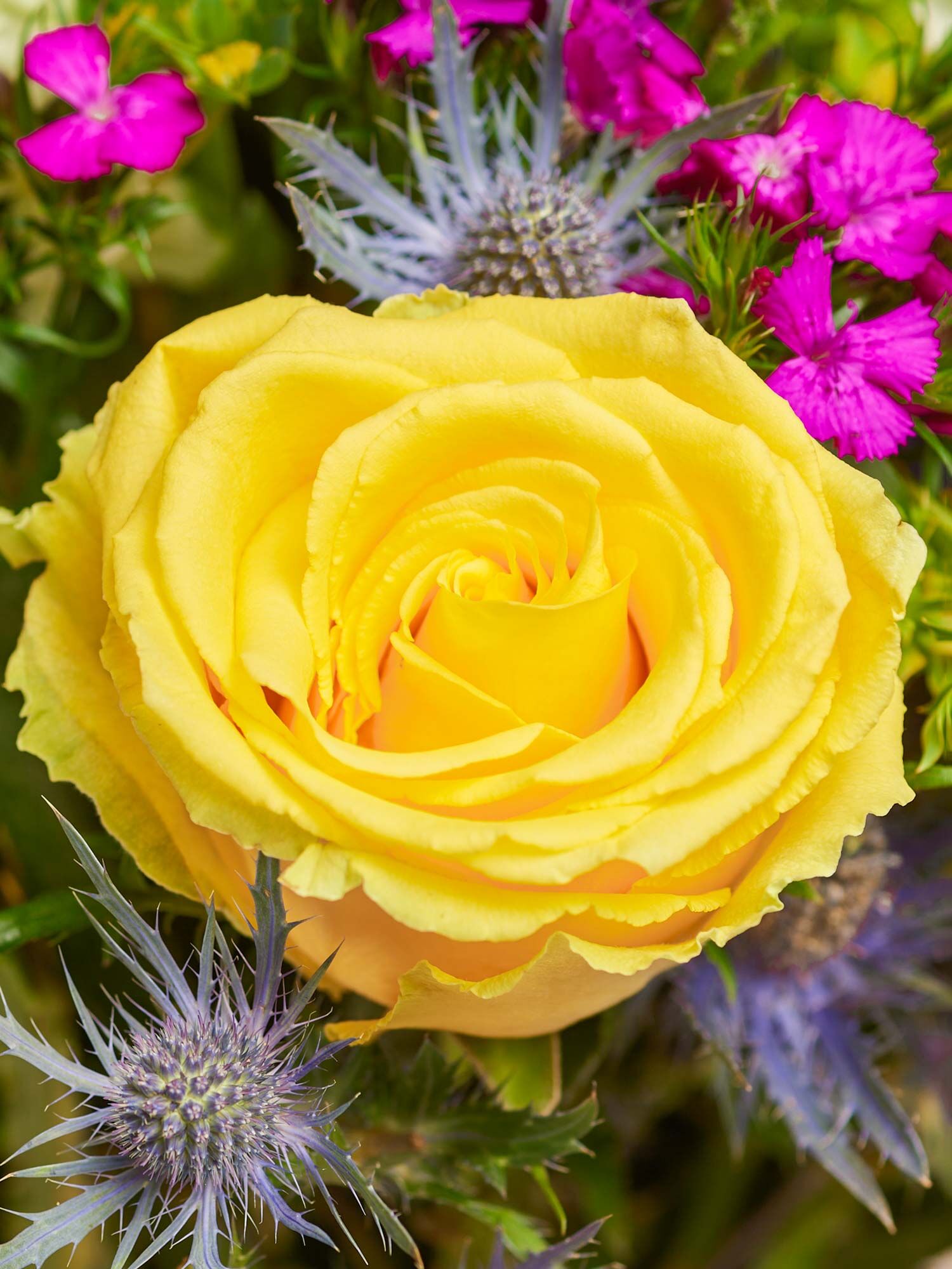 Von allem das Beste Detailaufnahme einer großen gelben Rose, die von blauen Disteln und lilafarbenen Bartnelken umrahmt wird