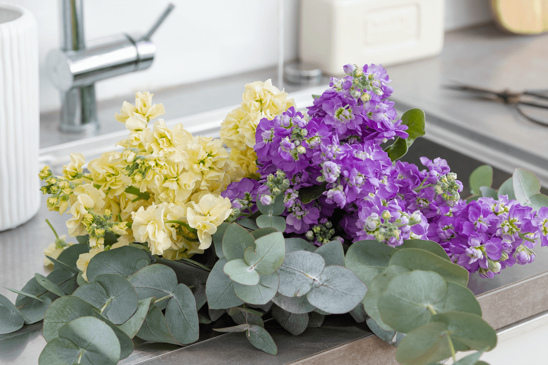 Blume, Blumen-Arrangement, Pflanze, Geranie, Blumenstrauß